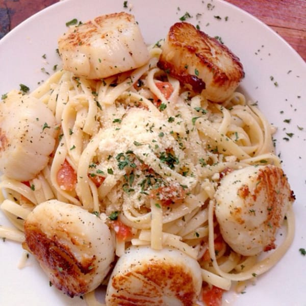 Seared scallops and linguine pasta with parmesan cheese, diced tomatoes, and parsley on a white plate.